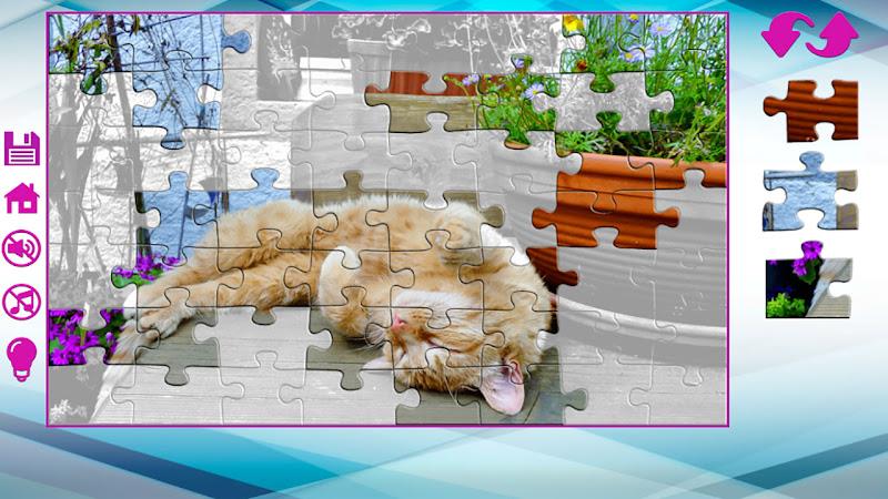 Big puzzles with cats Screenshot 3