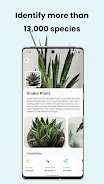 PlantCam: AI Plant Identifier应用截图第3张