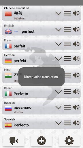 Schermata Q Multi Language Translator 4