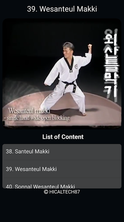 Taekwondo Basic Motions Captura de pantalla 4