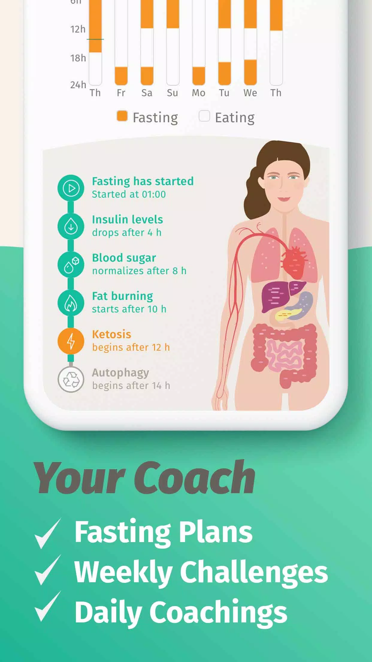 BodyFast ဖန်သားပြင်ဓာတ်ပုံ 4