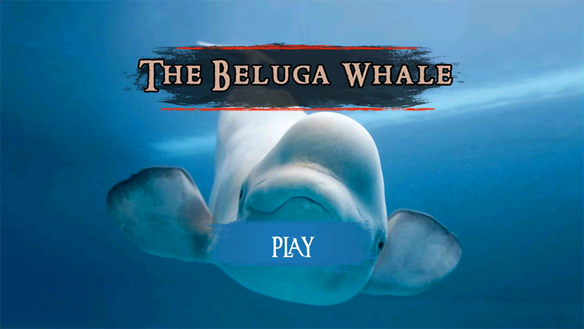 The Beluga Whale ဖန်သားပြင်ဓာတ်ပုံ 3