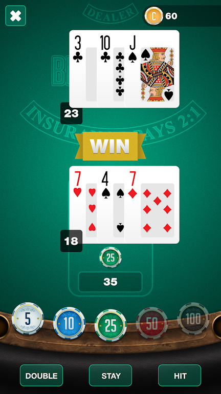 BlackJack TwentyOne Screenshot 2