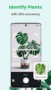 PlantCam: AI Plant Identifier应用截图第1张