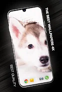 Puppies Wallpapers in 4K स्क्रीनशॉट 1