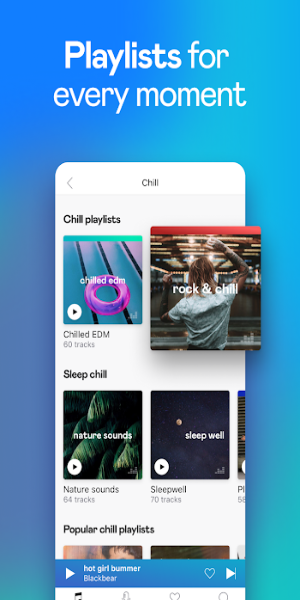 Deezer Premium স্ক্রিনশট 2