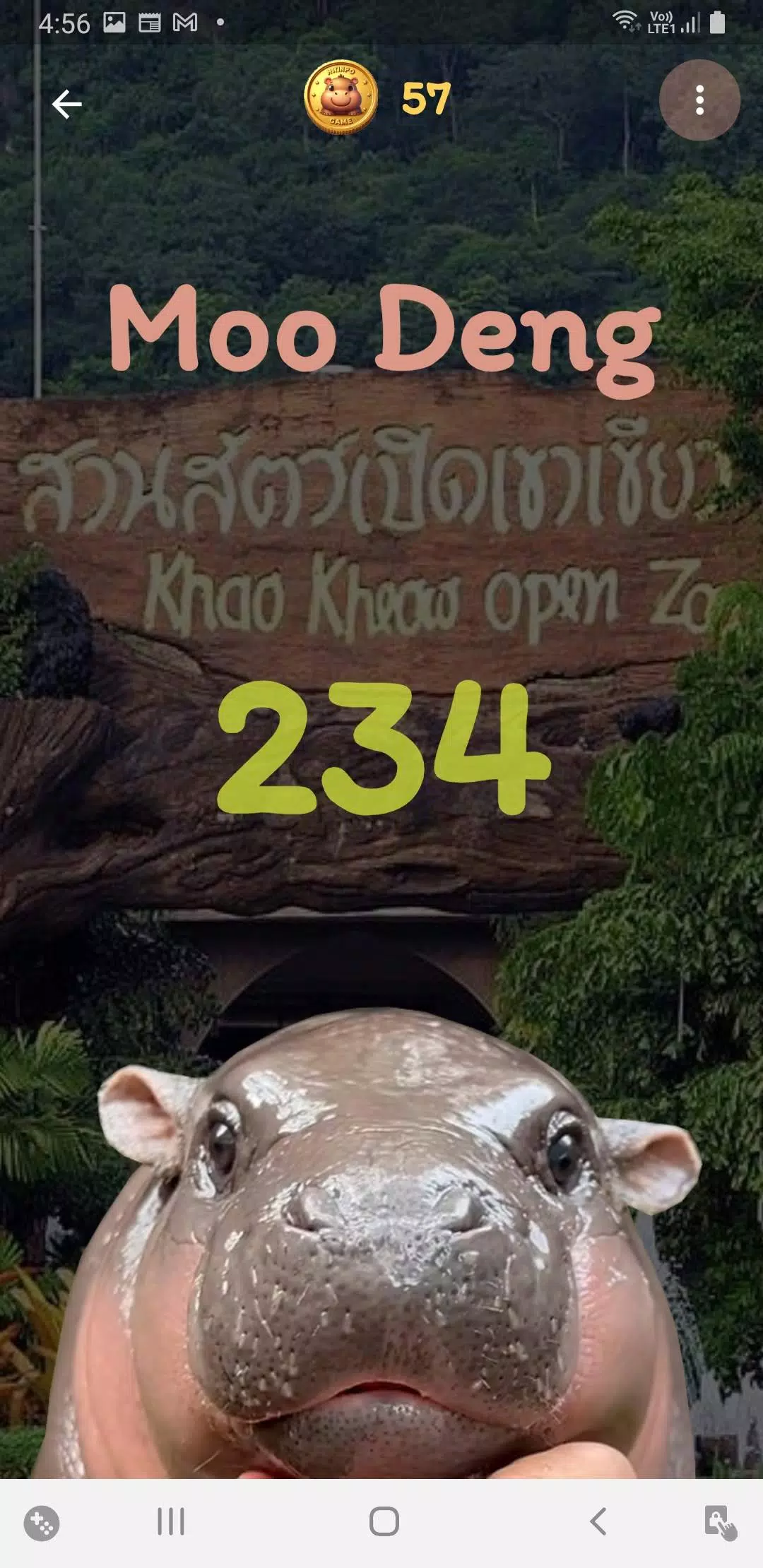 Moo Deng स्क्रीनशॉट 3