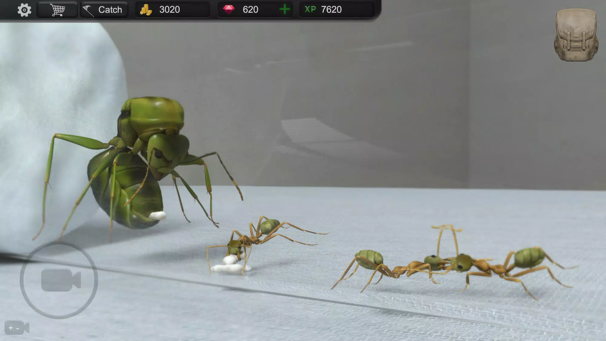 Ant Sim Tycoon应用截图第1张