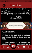 The Holy Quran and its Meaning Captura de tela 4