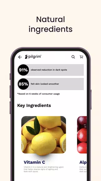 Pilgrim India應用截圖第4張