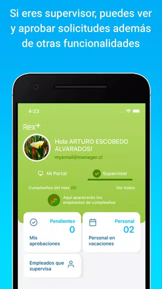 Rex+ Remuneraciones Zrzut ekranu 2