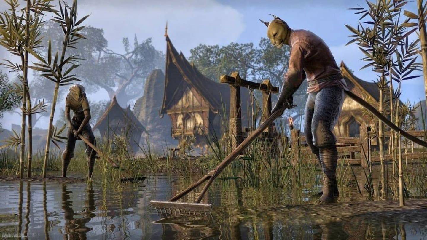 Gamer gibt 100.000 US -Dollar für Elder Scrolls VI Rolle aus