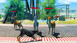 Doberman Dog Simulator Capture d'écran 2