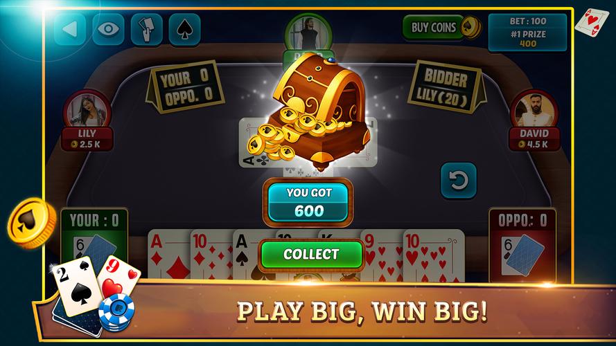 29 Card Game Plus ภาพหน้าจอ 3