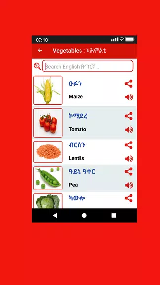 Tigrinya Word Book應用截圖第2張