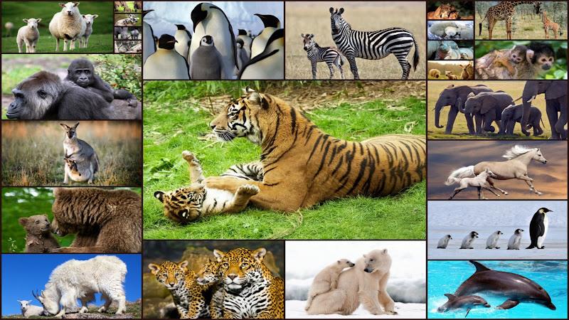 Baby Animal Jigsaw Puzzles Screenshot 1