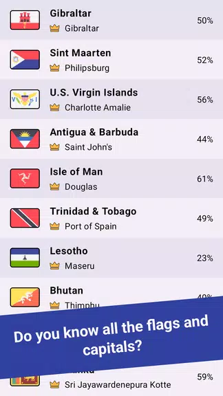 Geomi — Flags & Countries ภาพหน้าจอ 3