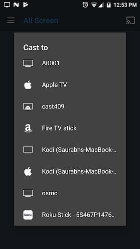 All Screen Cast to TV Roku Ekran Görüntüsü 3