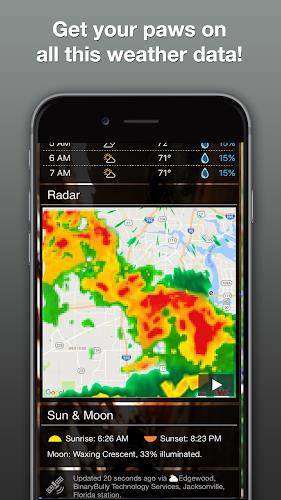 Grumpy Cat Weather Capture d'écran 4
