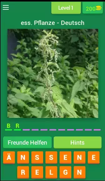 Pflanzen - Deutsch Captura de pantalla 1