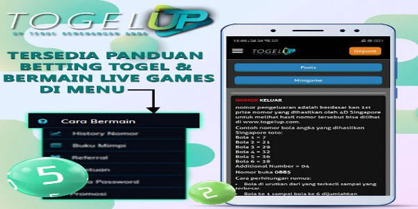 TogelUp 스크린샷 2