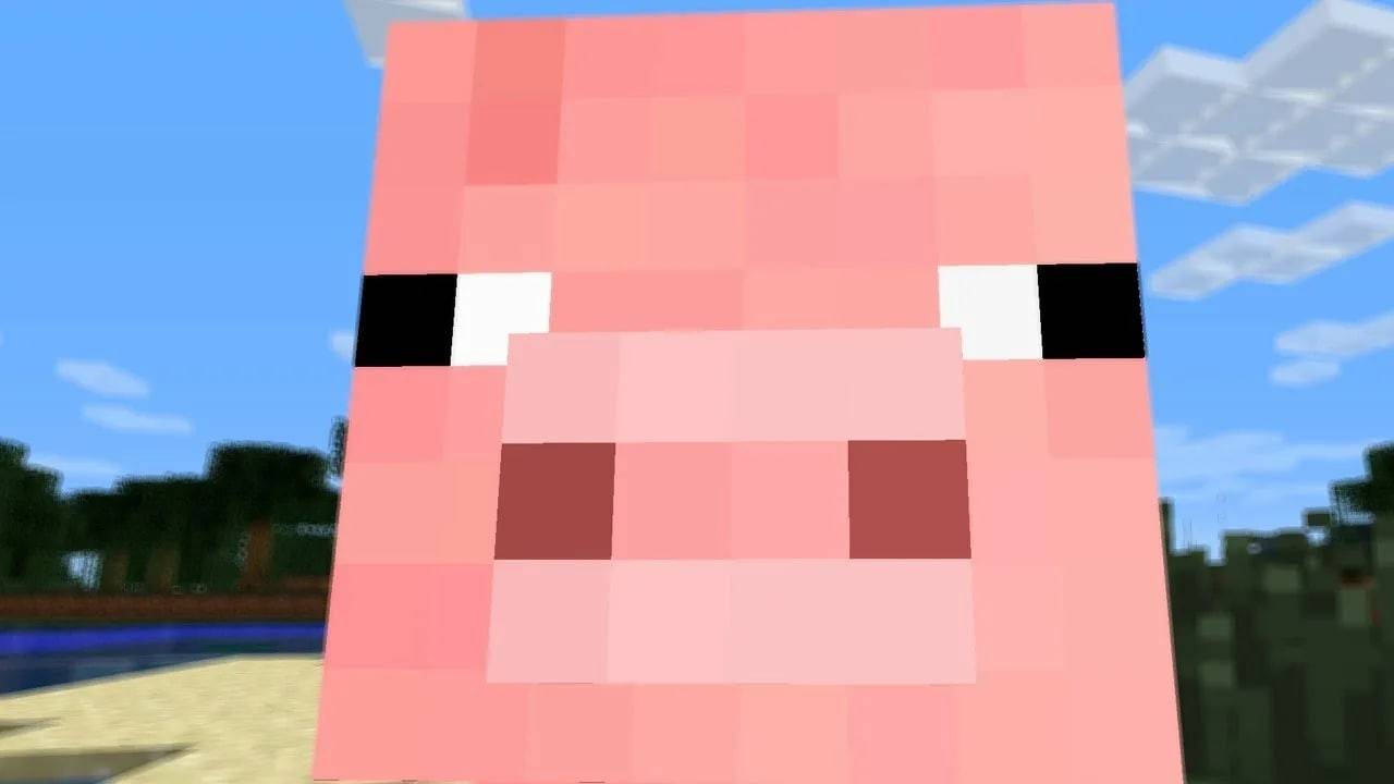 Domuzlar Minecraft nerede bulunur