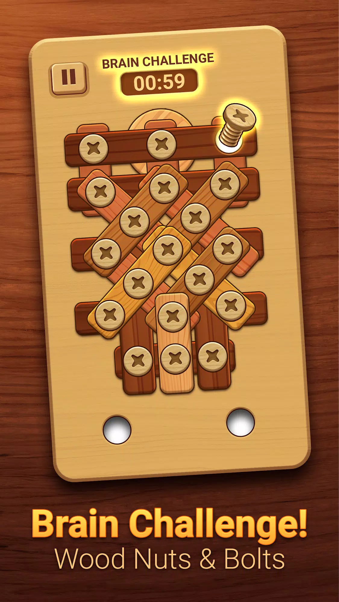 Woodle - Wood Screw Puzzle Captura de tela 3