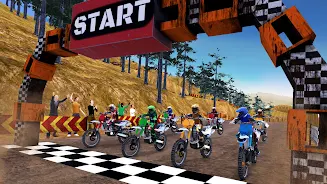 Dirt Track Bike Racing Tangkapan skrin 3