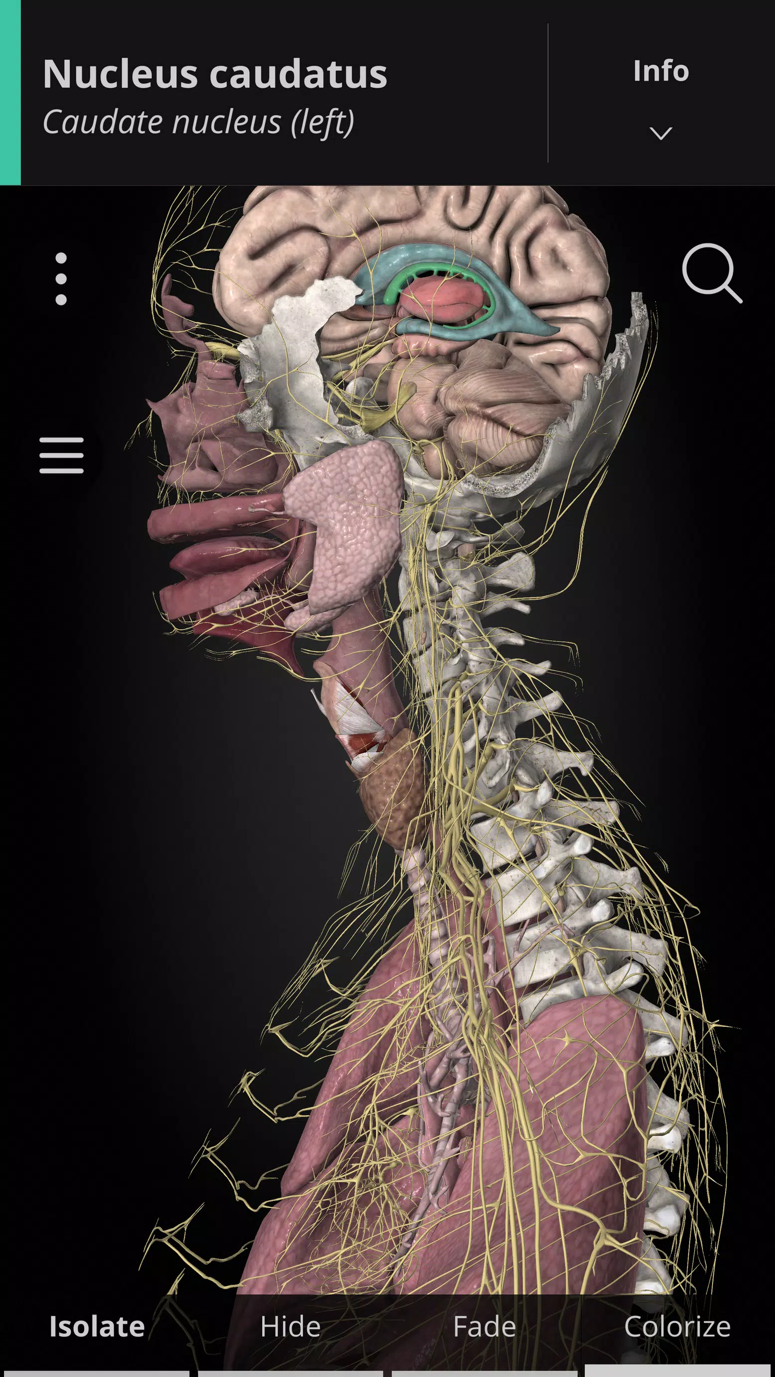 Anatomyka - 3D Anatomy Atlas应用截图第1张