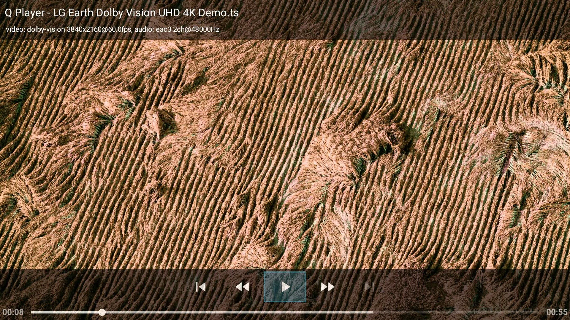 Q+ Player, UPnP DLNA DMR Geek Screenshot 4