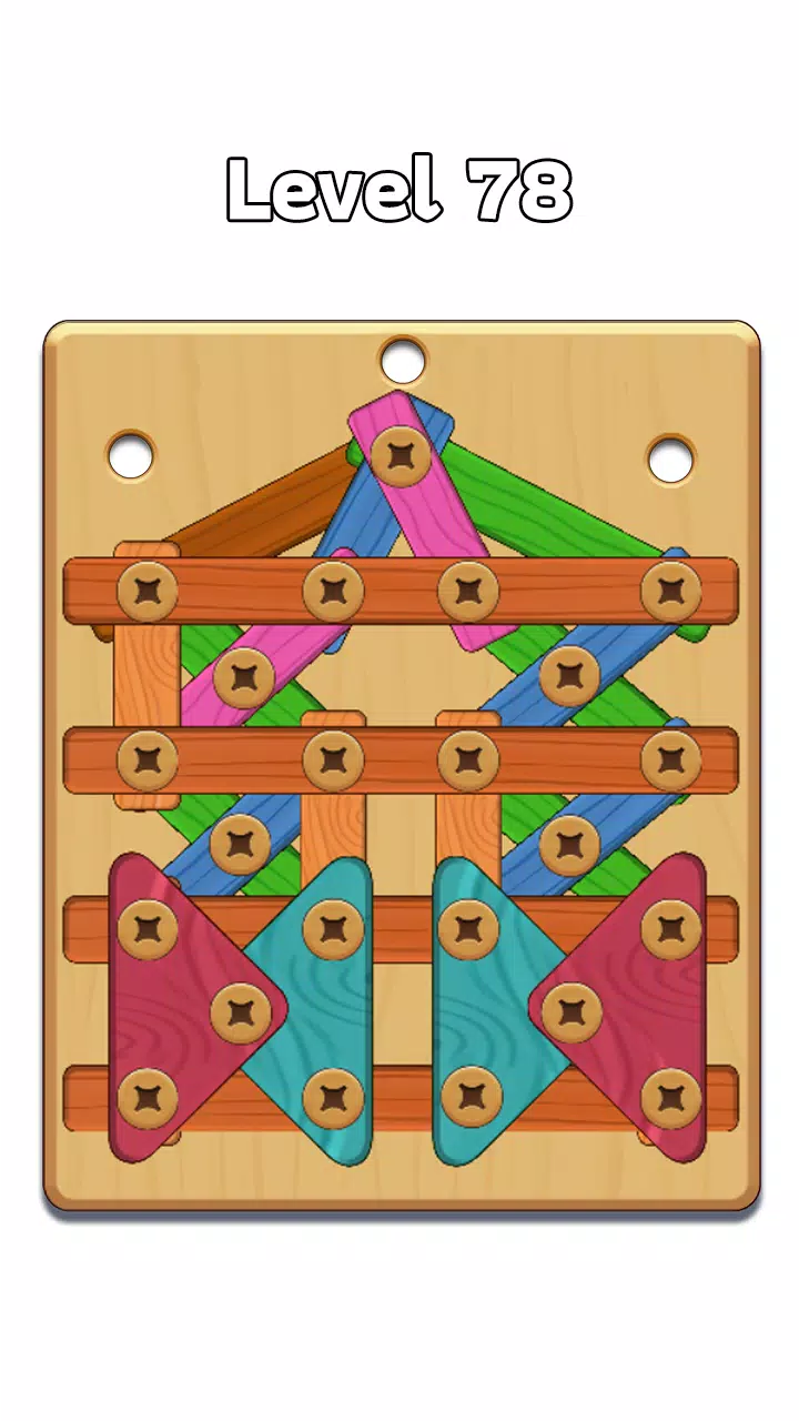 Schermata Wood Nuts & Bolt: Screw Puzzle 3