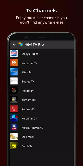 Hêvî TV Pro Tangkapan skrin 4