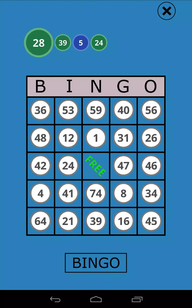 Classic Bingo Touch Ảnh chụp màn hình 3