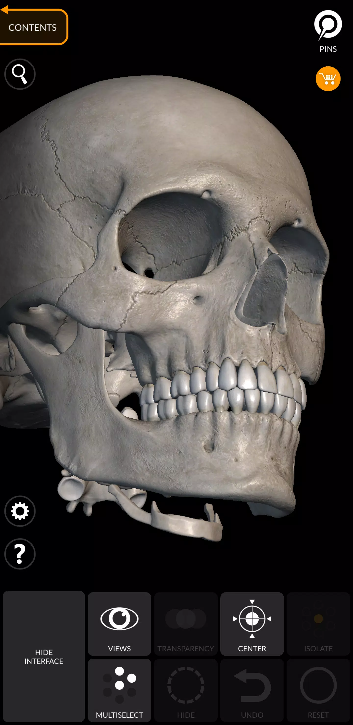 Skeleton應用截圖第4張