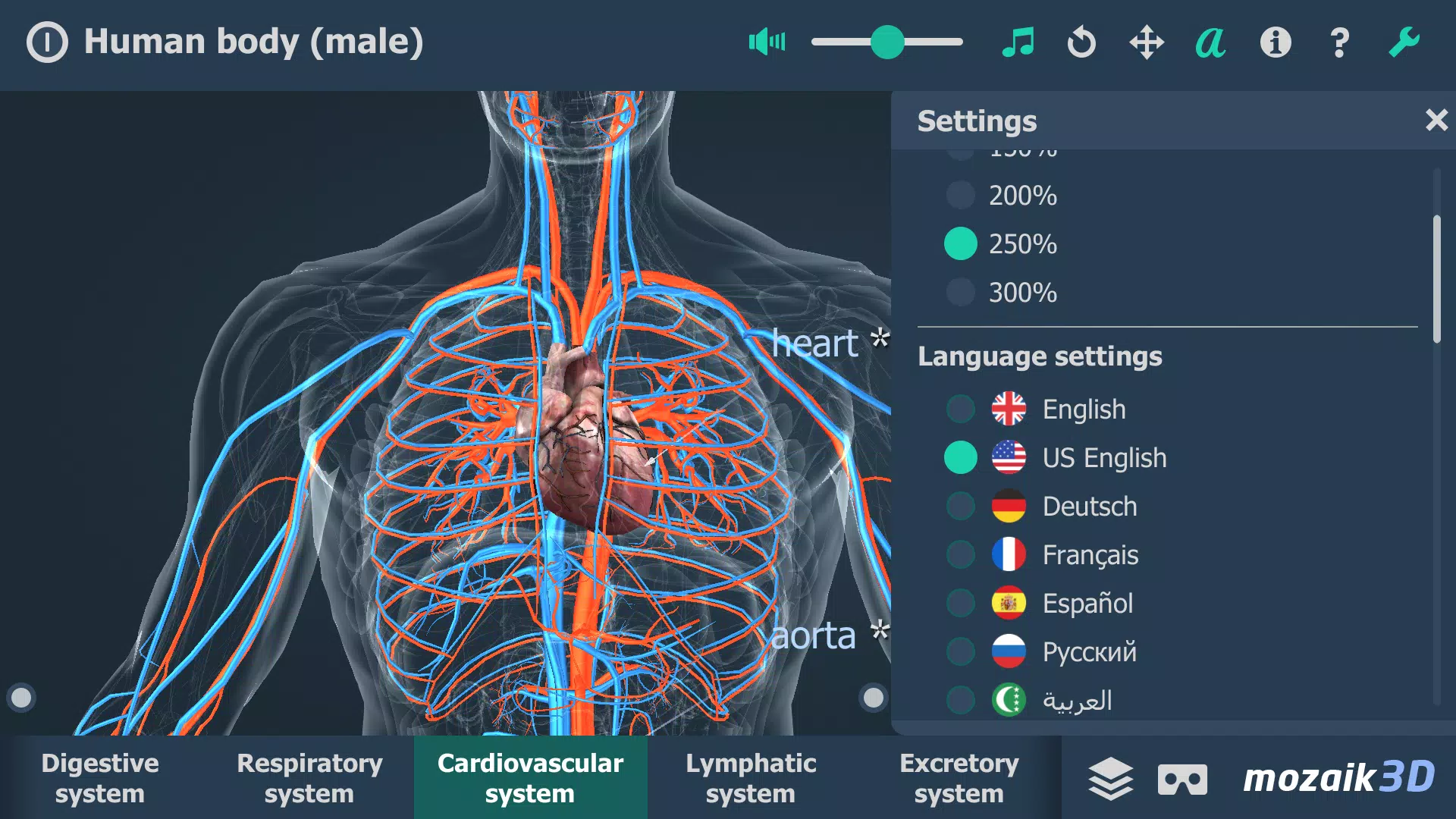 Human body (male) 3D scene Tangkapan skrin 2