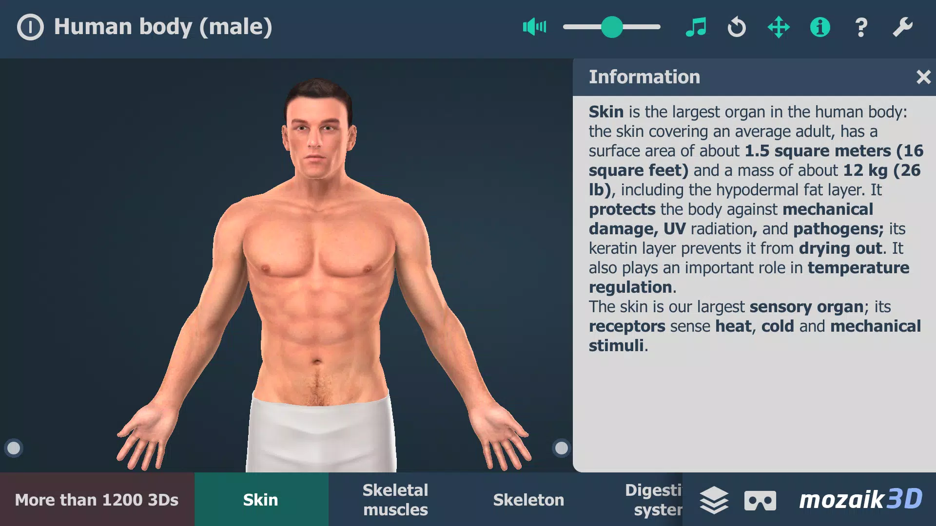 Human body (male) 3D scene Tangkapan skrin 1