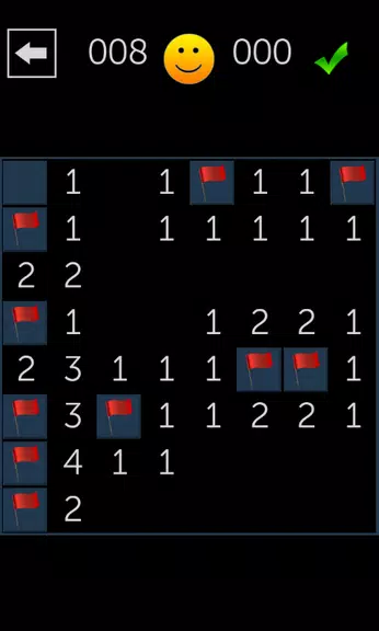 Minesweeper Fun Captura de pantalla 1