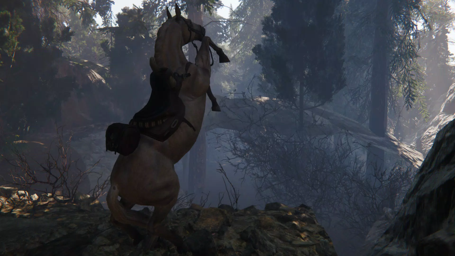 Spirit Horse: Woodland Trails Captura de pantalla 4