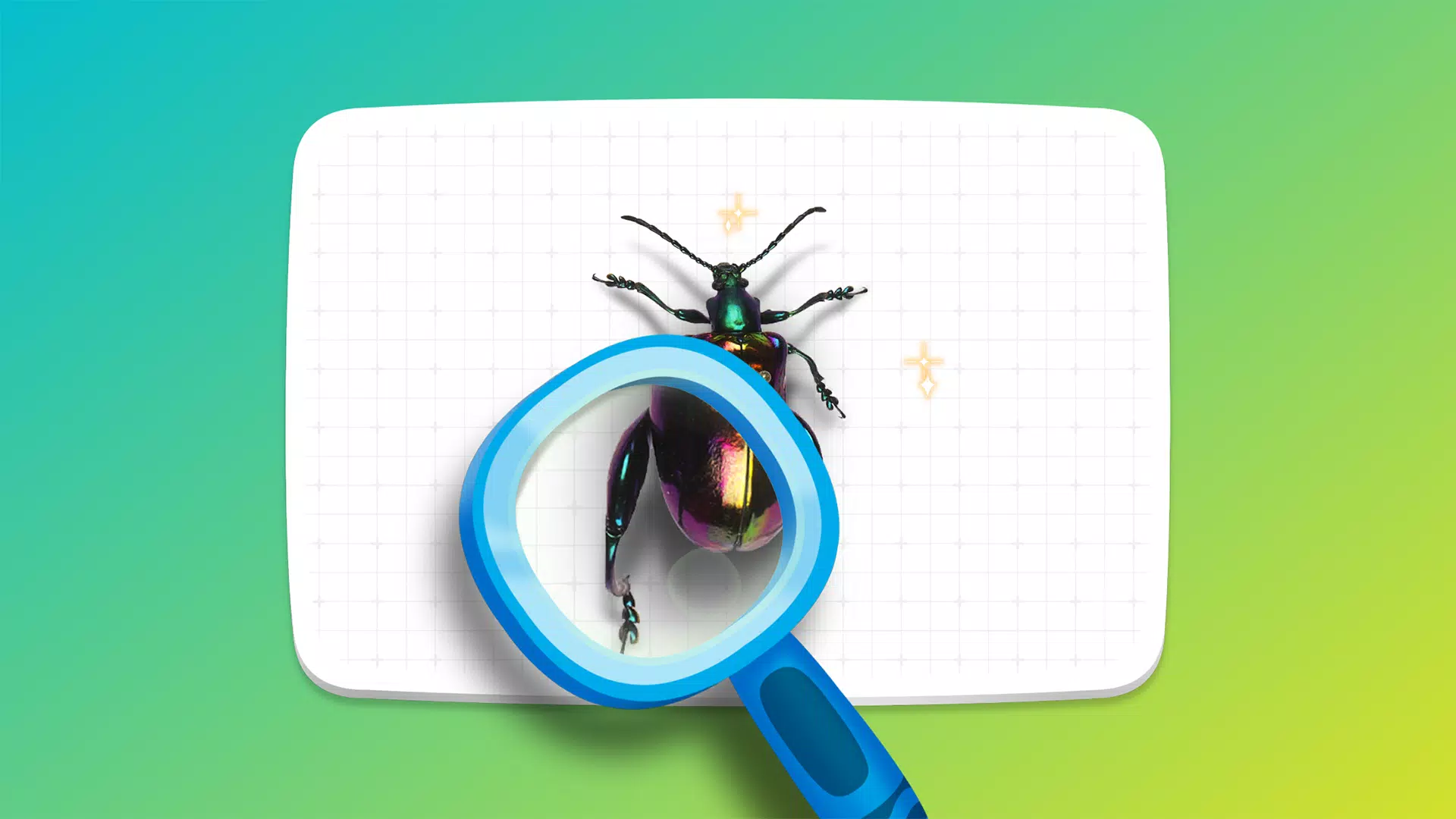 Crayola Crie e Brinque Captura de tela 2