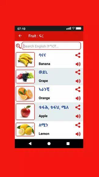 Tigrinya Word Book應用截圖第4張