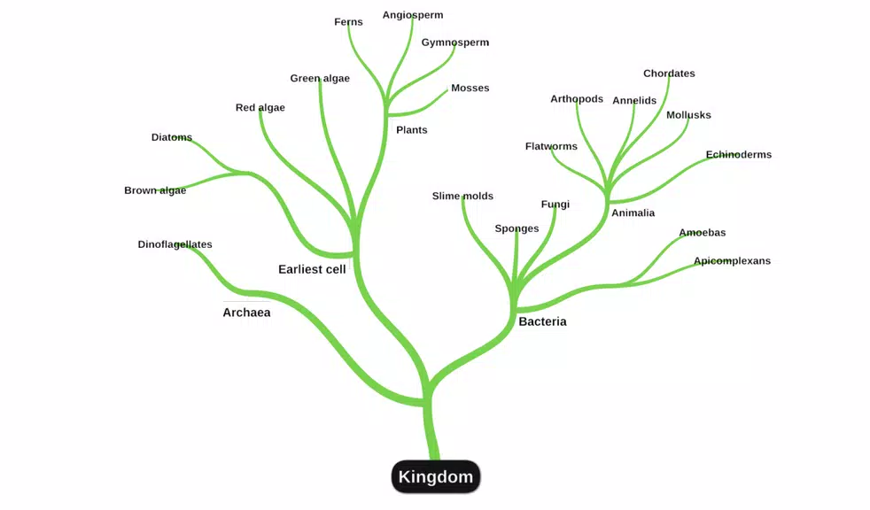 miMind - Easy Mind Mapping 스크린샷 2