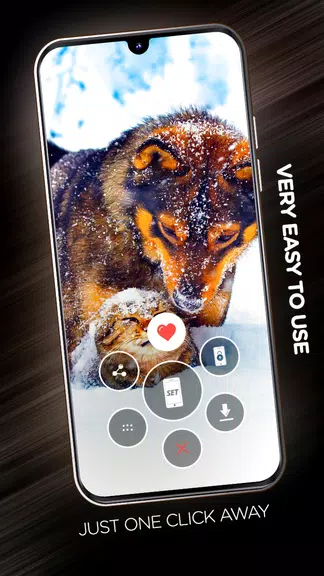 Wallpapers with dogs in 4K應用截圖第2張