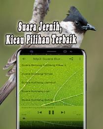 Suara Burung Kutilang Offline Скриншот 4