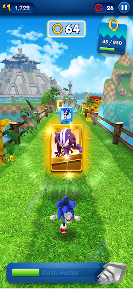 Sonic Dash SEGA - Run Spiele Screenshot 4