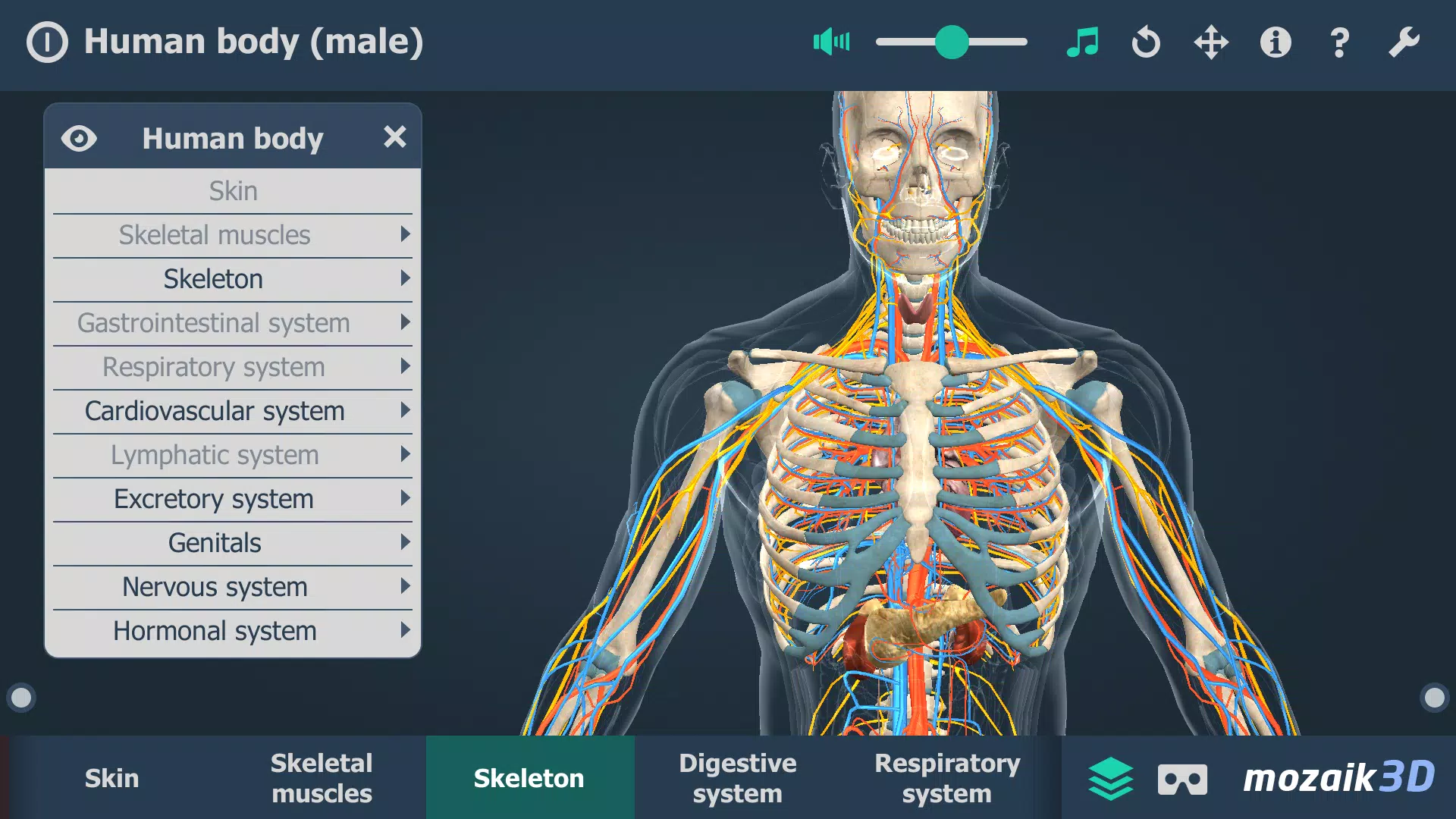 Human body (male) 3D scene Tangkapan skrin 4