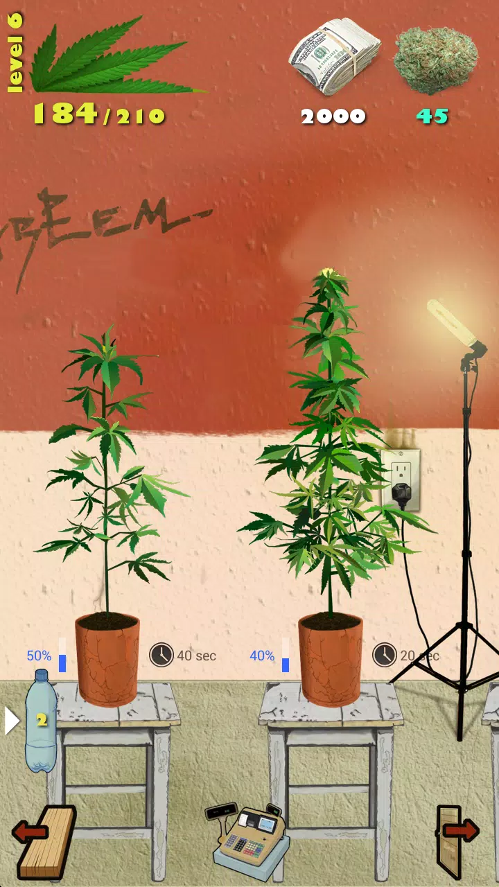 Weed Firm Zrzut ekranu 2