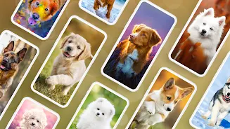 Dog Wallpapers & Puppy 4K স্ক্রিনশট 1