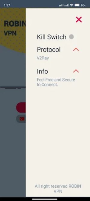 Robin VPN Schermafbeelding 3