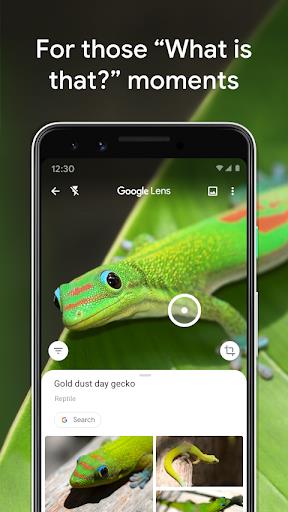 Google Lens Captura de pantalla 1
