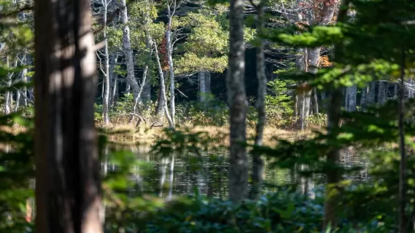 Hantu Yotei ditetapkan di Hokkaido kerana rasa bahaya dan kecantikannya